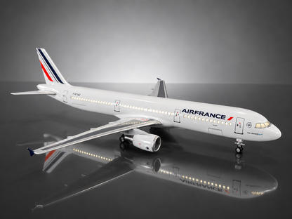 Airbus A321 - Échelle 1:100 - Finition Premium Détaillée