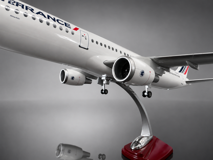 Airbus A321 - Échelle 1:100 - Finition Premium Détaillée