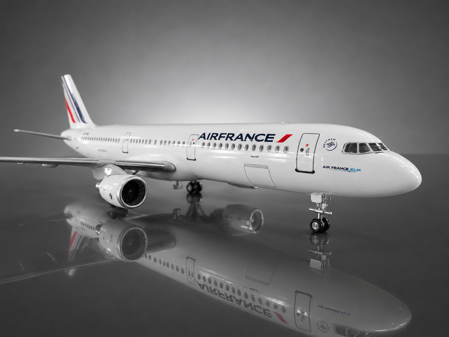 Airbus A321 - Échelle 1:100 - Finition Premium Détaillée